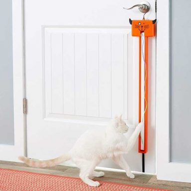 Moody Pet Fling-Ama-String
